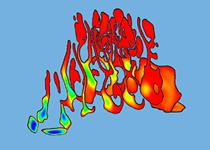 Image of the temperature field displayed in anatomical cuts of the nasal cavity.