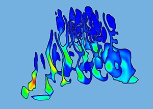 Image of the velocity parameters displayed in anatomical cuts of the nasal cavity.