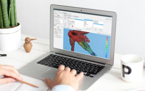 Medical researcher doing a CFD simulation with Flowgy Innovation on a laptop.
