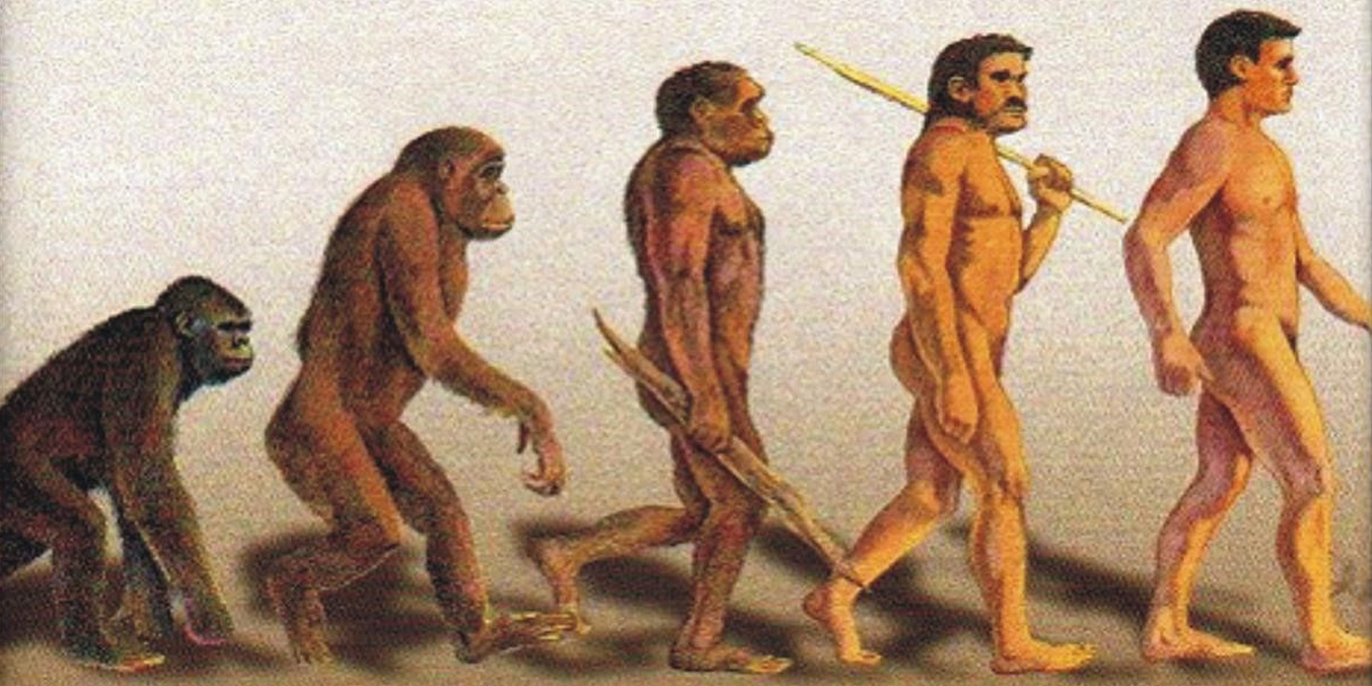 Flowgy collaborates with CSIC in the evolutionary research of the hominid respiratory system.